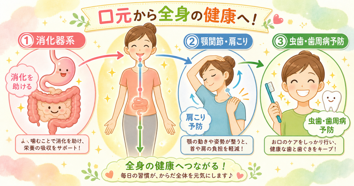 歯並び治療が全身の健康と病気予防につながる3つの理由