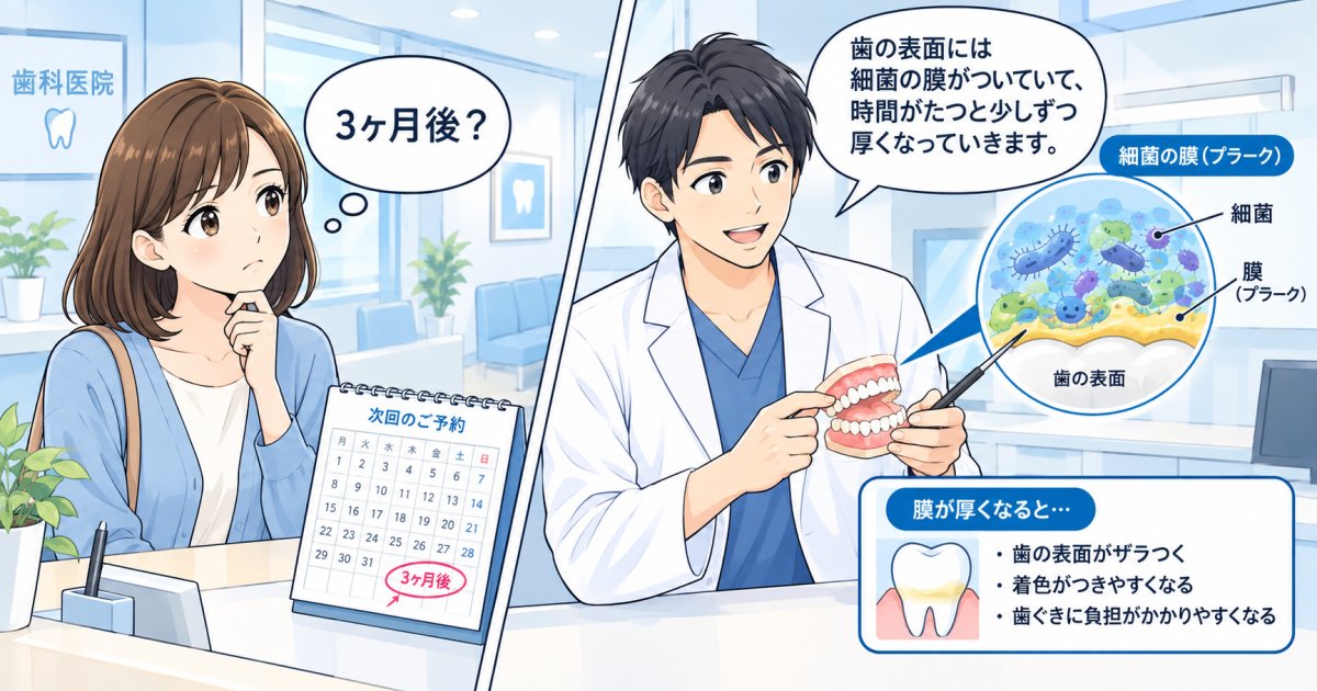 歯科の定期検診の頻度は何ヶ月？3ヶ月に1回を勧める医学的な理由