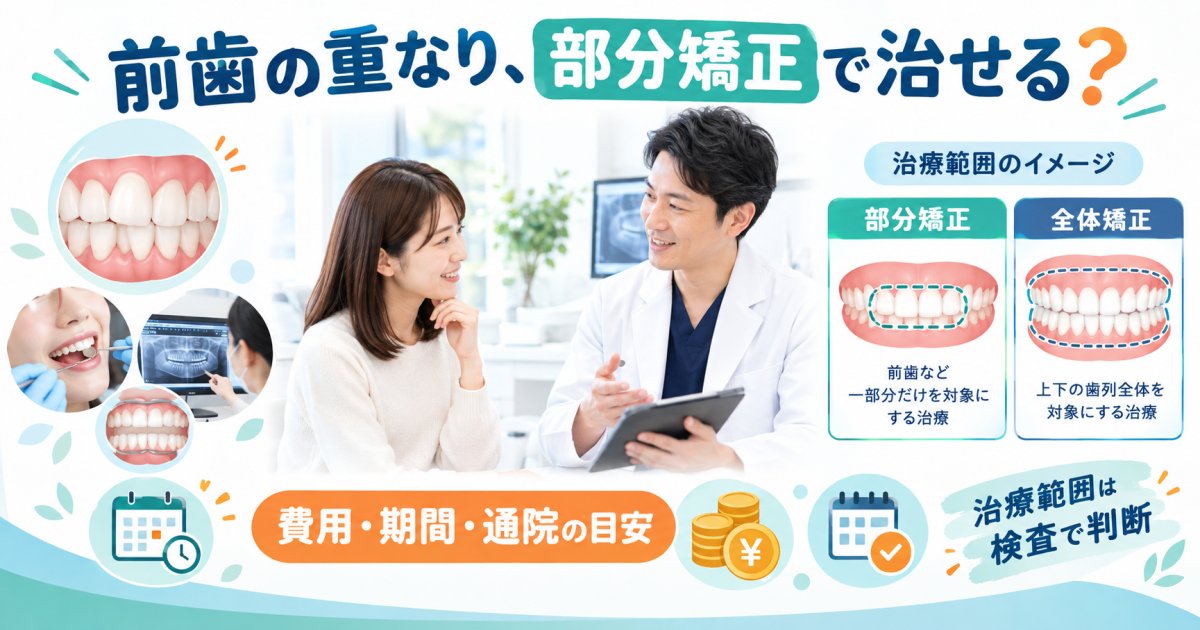 前歯の重なりは部分矯正で治せる？全体矯正との費用・期間、通院負担