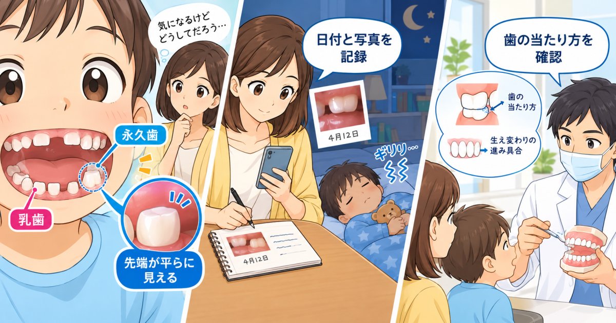 子どもの一部の歯がすり減る？生え変わり期のかみ合わせと歯ぎしり