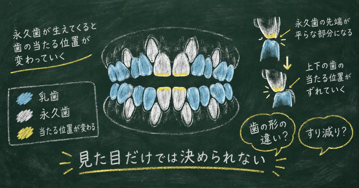 なぜ生え変わり期に一部の歯だけすり減って見えるの？